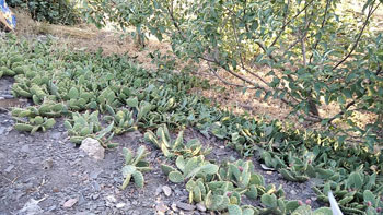 3-1